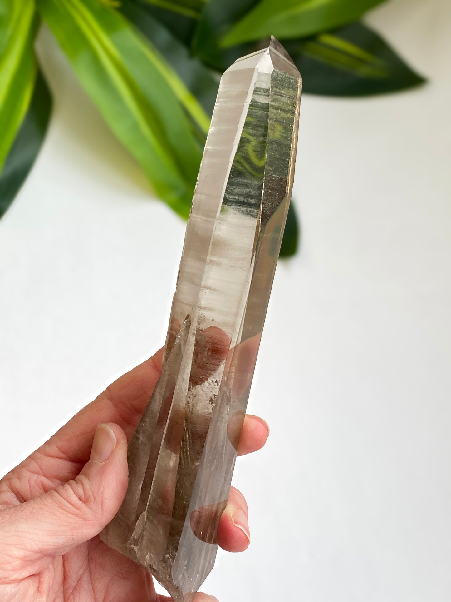 Smoky Lemurian Quartz