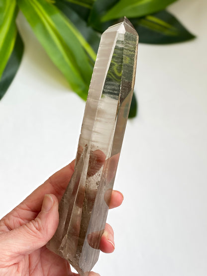 Smoky Lemurian Quartz