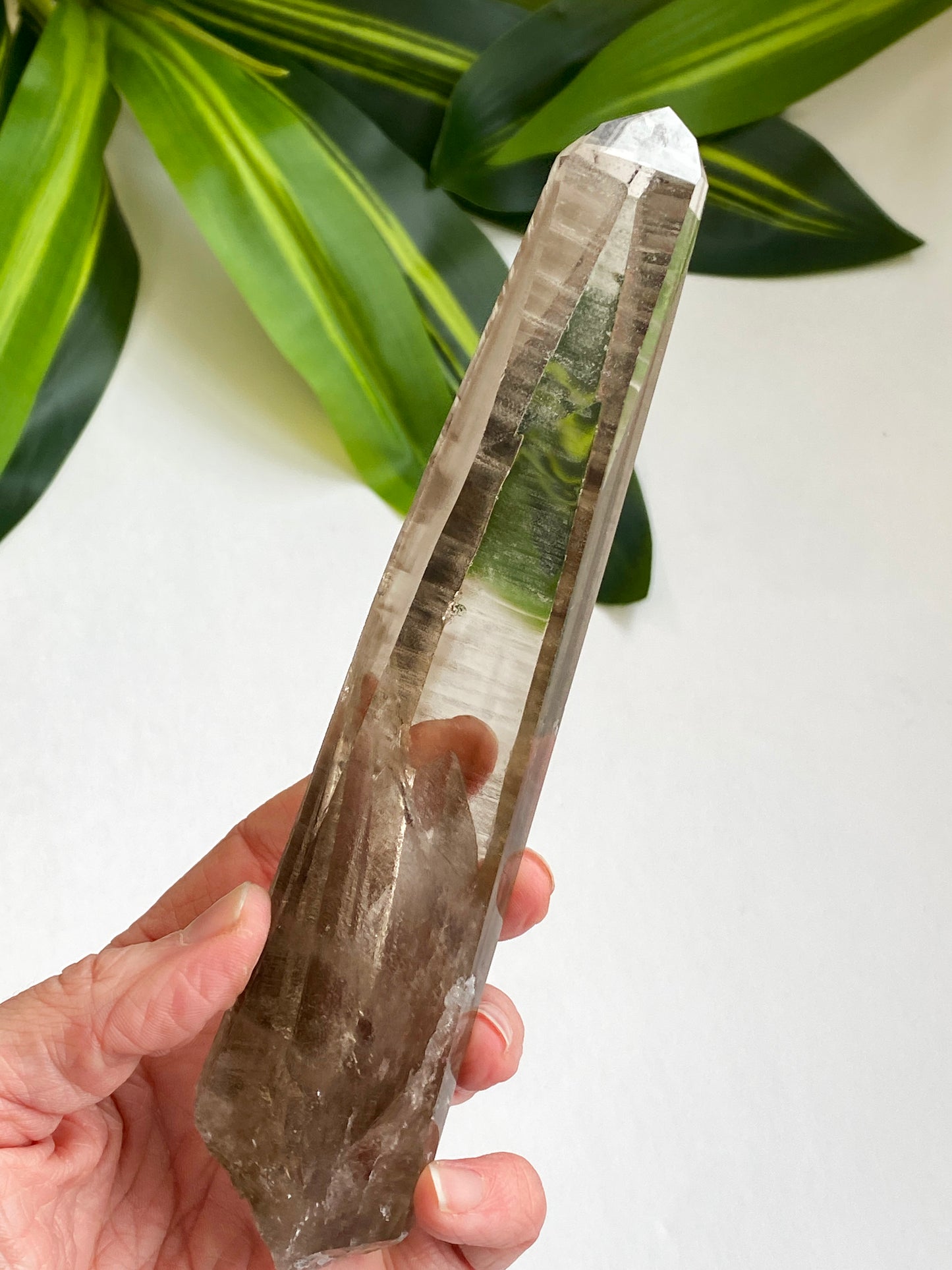 Smoky Lemurian Quartz