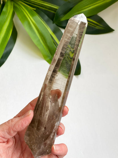 Smoky Lemurian Quartz