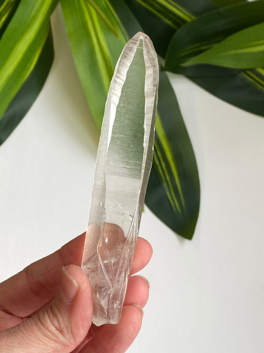 Lemurian Quartz