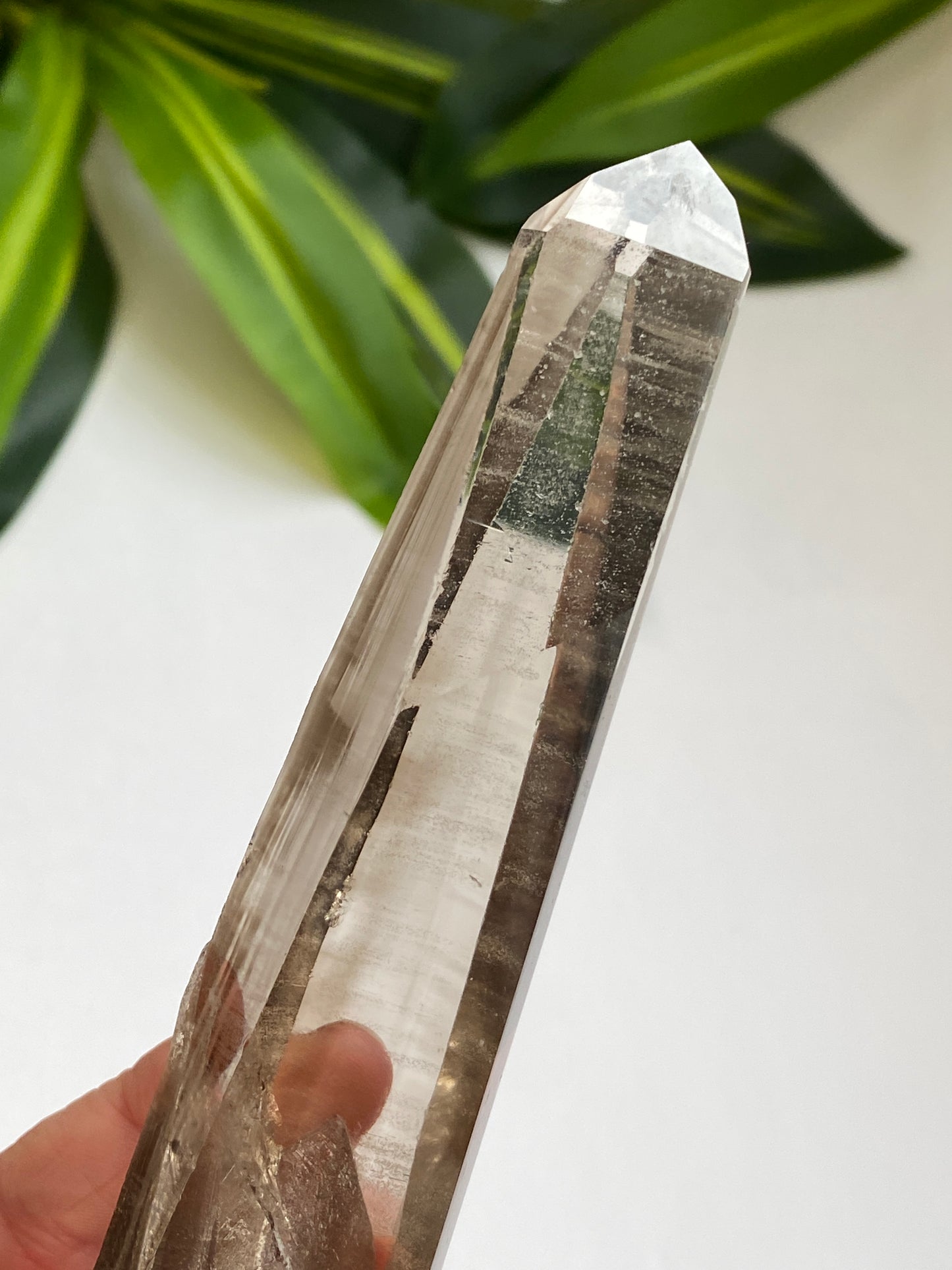 Smoky Lemurian Quartz