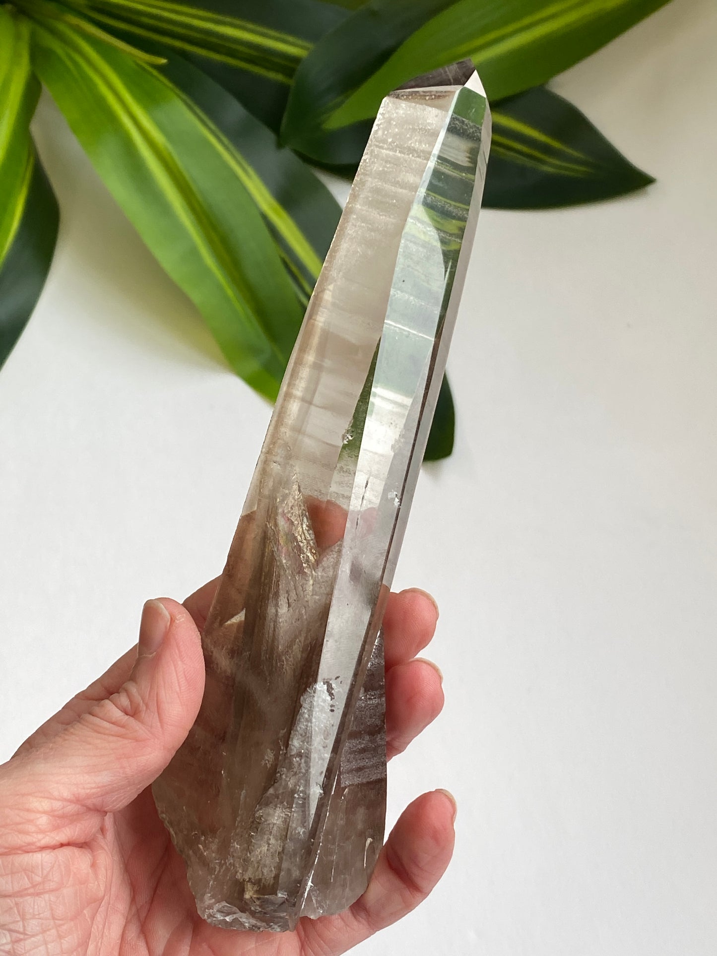 Smoky Lemurian Quartz