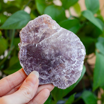 Lepidolite Crystal