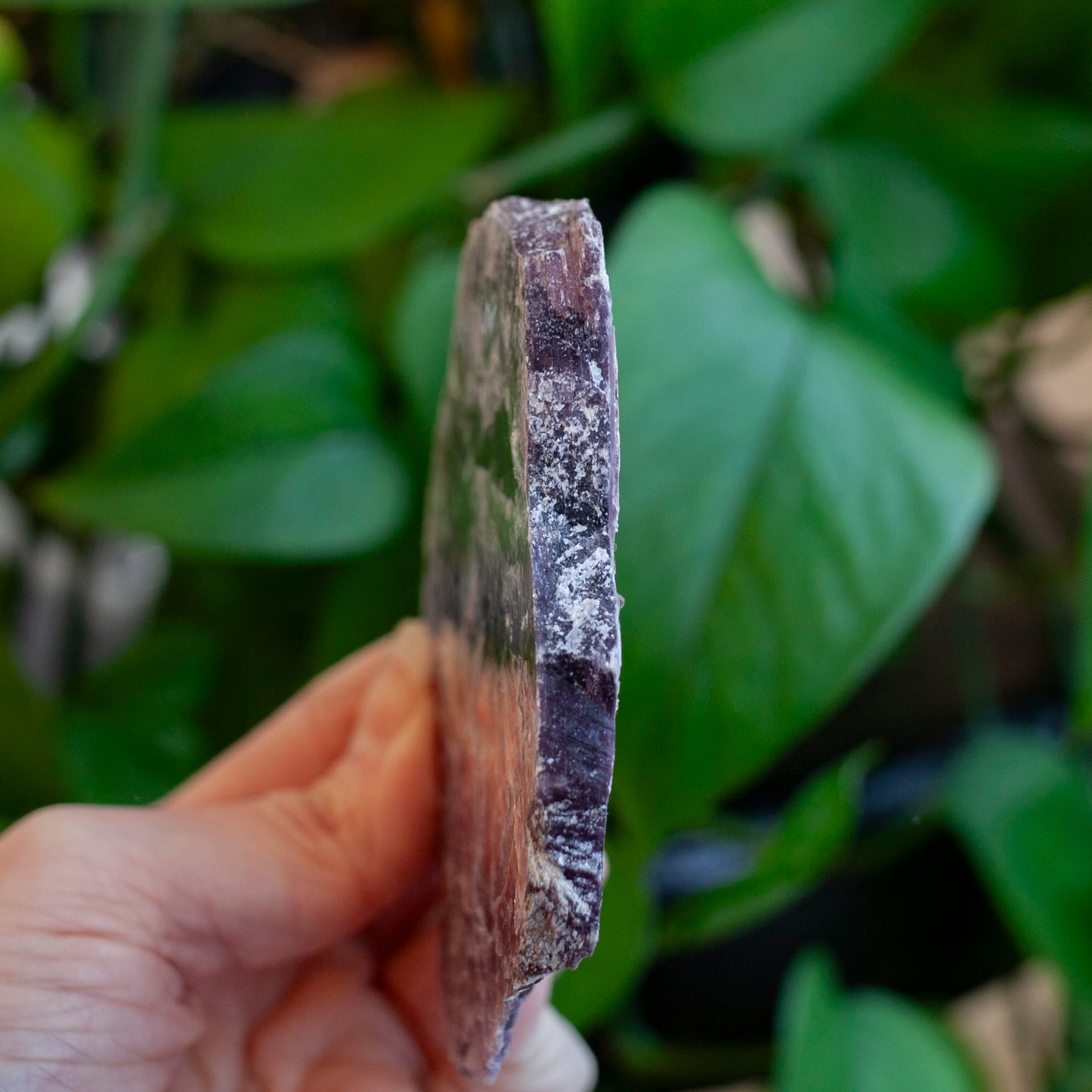 Lepidolite Crystal