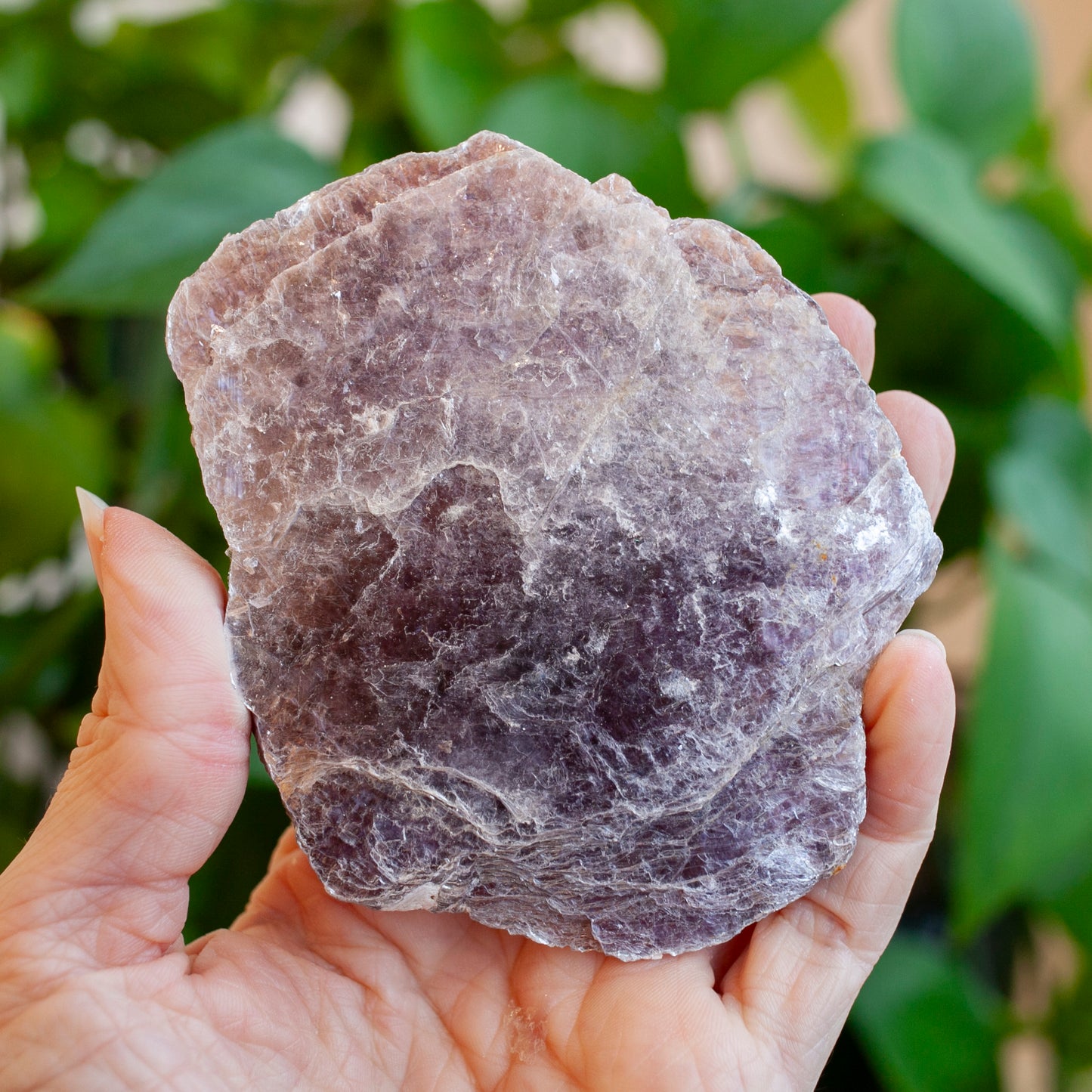 Lepidolite Crystal