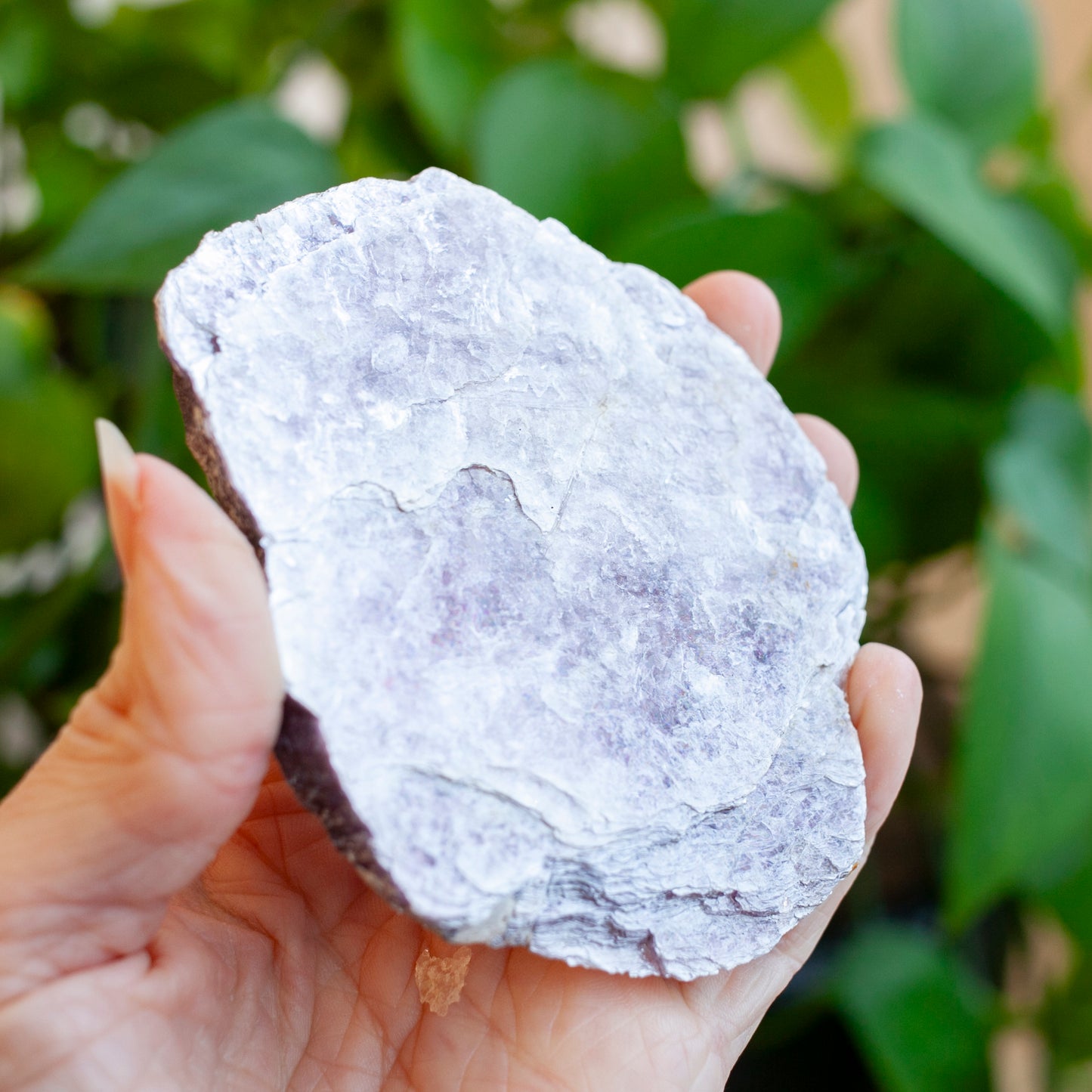 Lepidolite Crystal