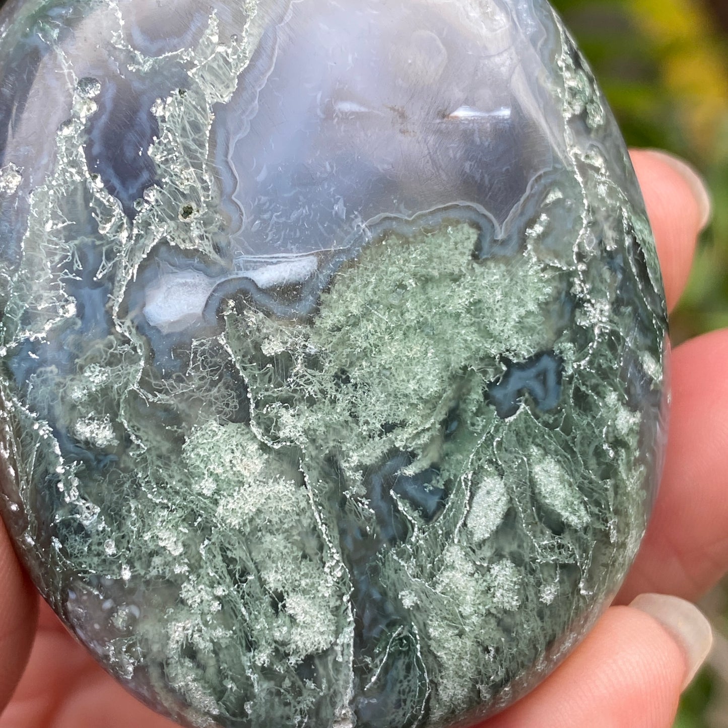 Moss Agate Palm Stone