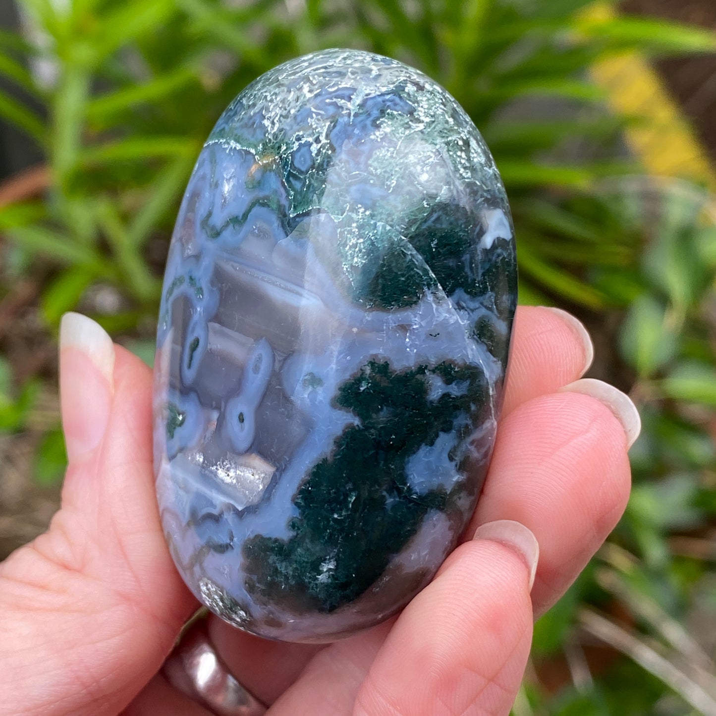 Moss Agate Palm Stone