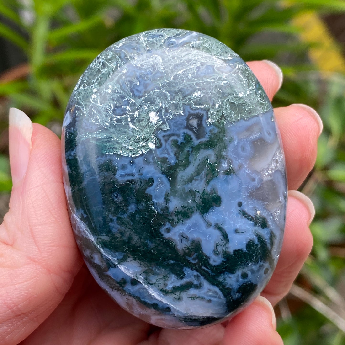 Moss Agate Palm Stone