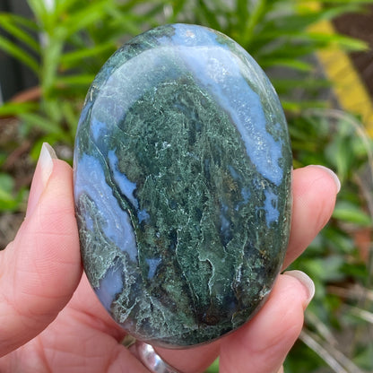 Moss Agate Palm Stone