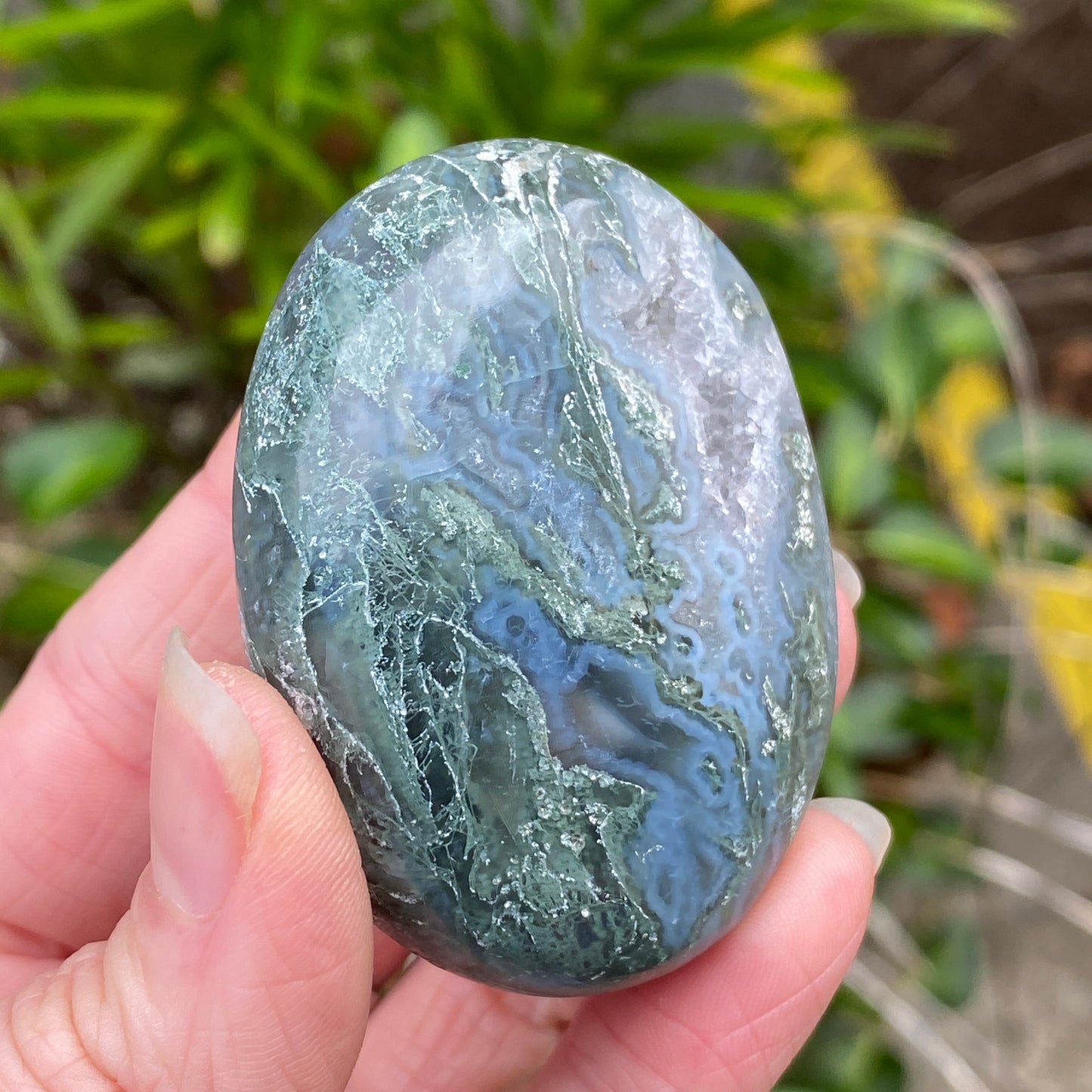 Moss Agate Palm Stone