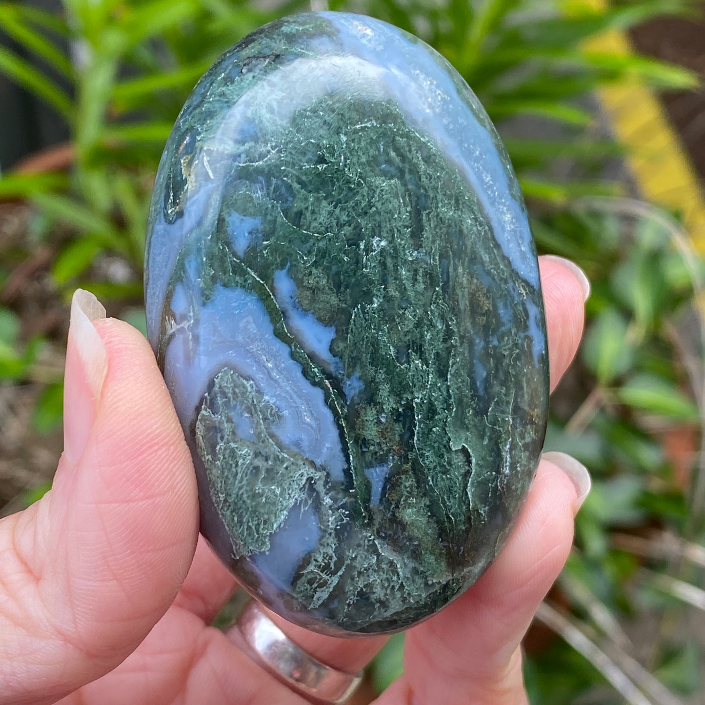 Moss Agate Palm Stone