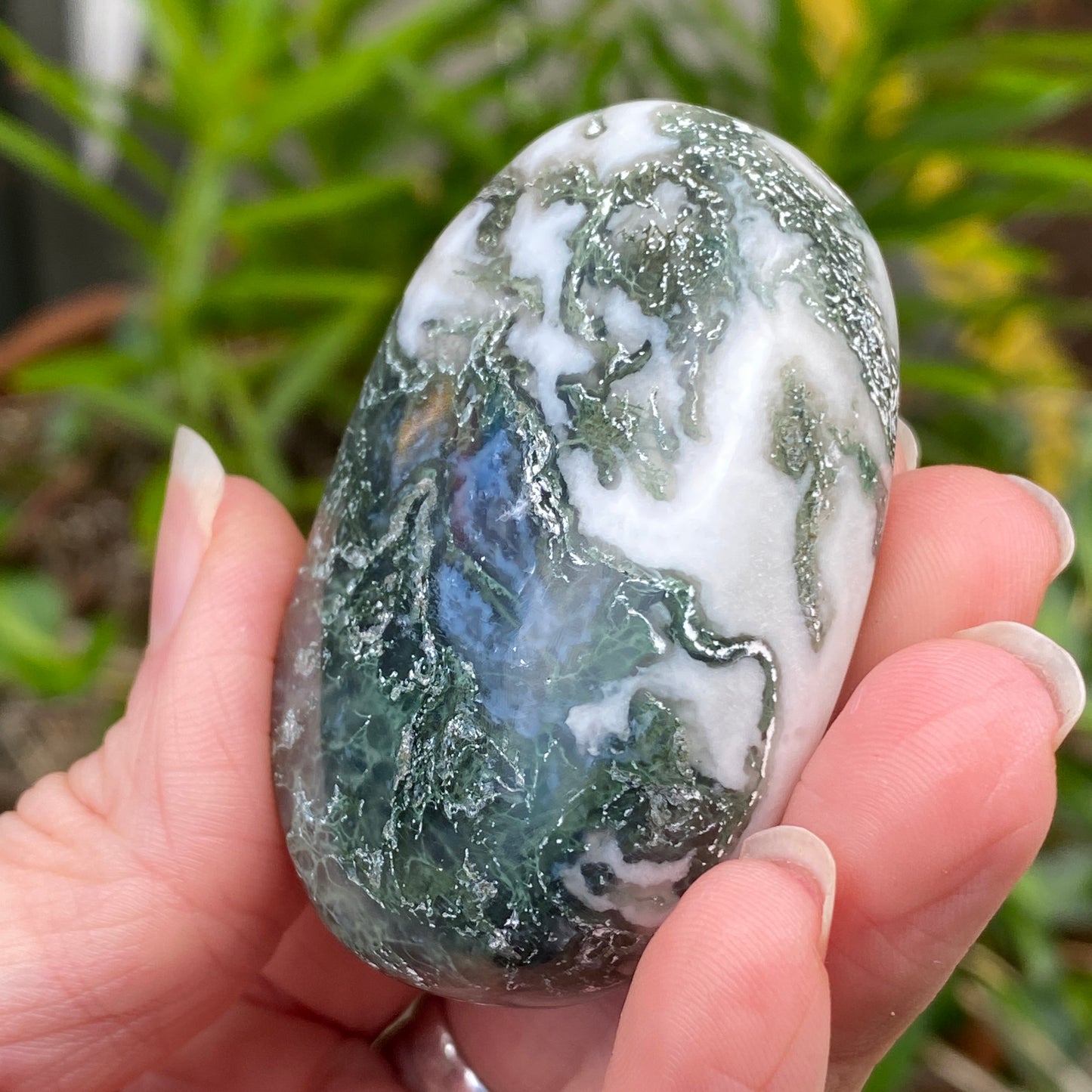 Moss Agate Palm Stone