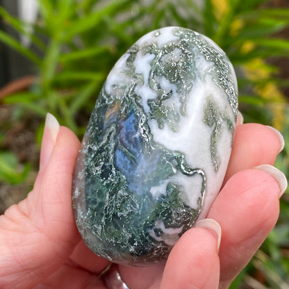 Moss Agate Palm Stone
