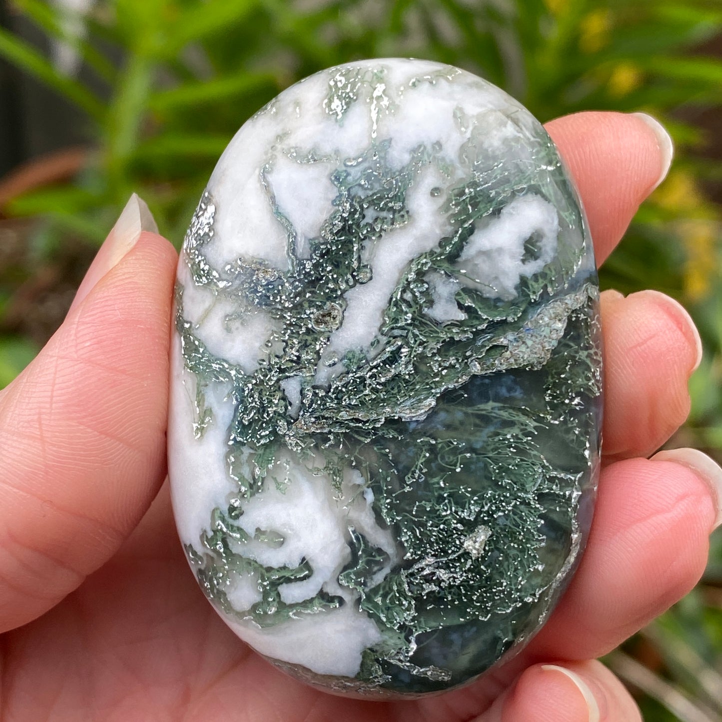 Moss Agate Palm Stone