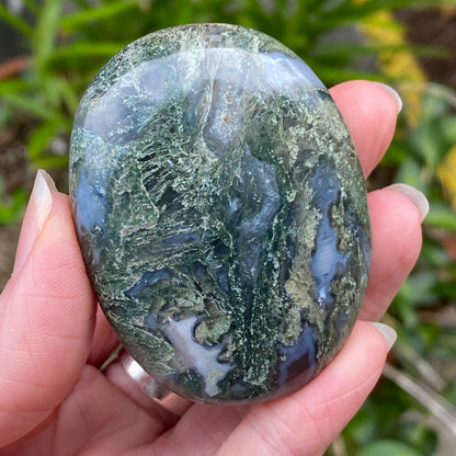 Moss Agate Palm Stone