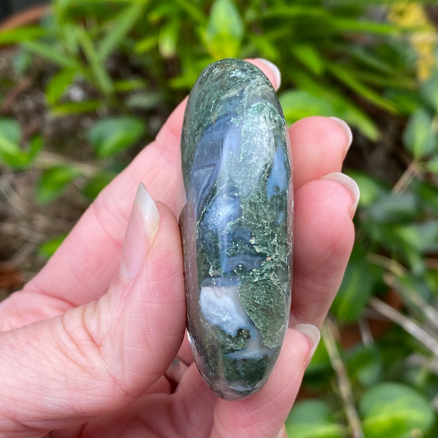 Moss Agate Palm Stone