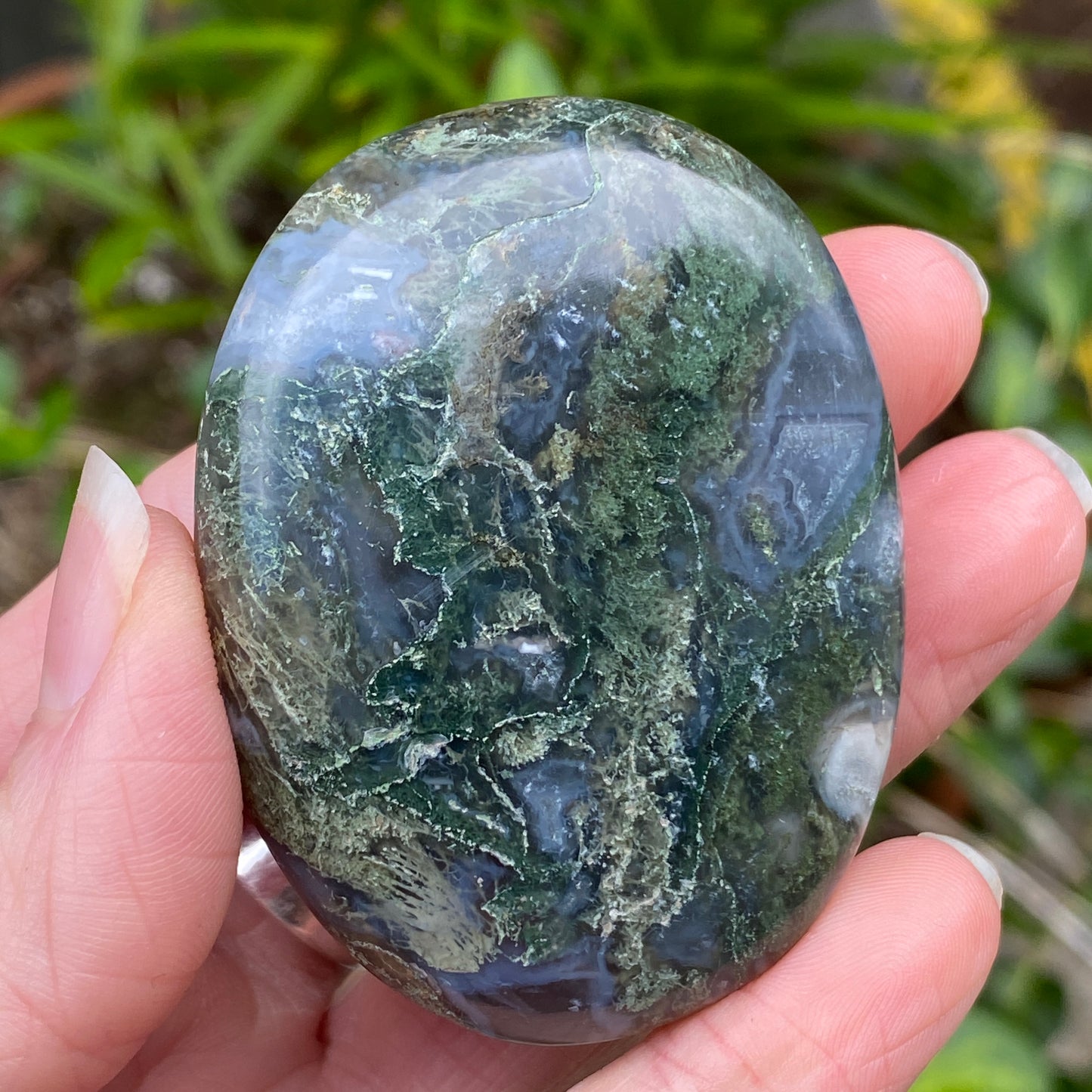 Moss Agate Palm Stone
