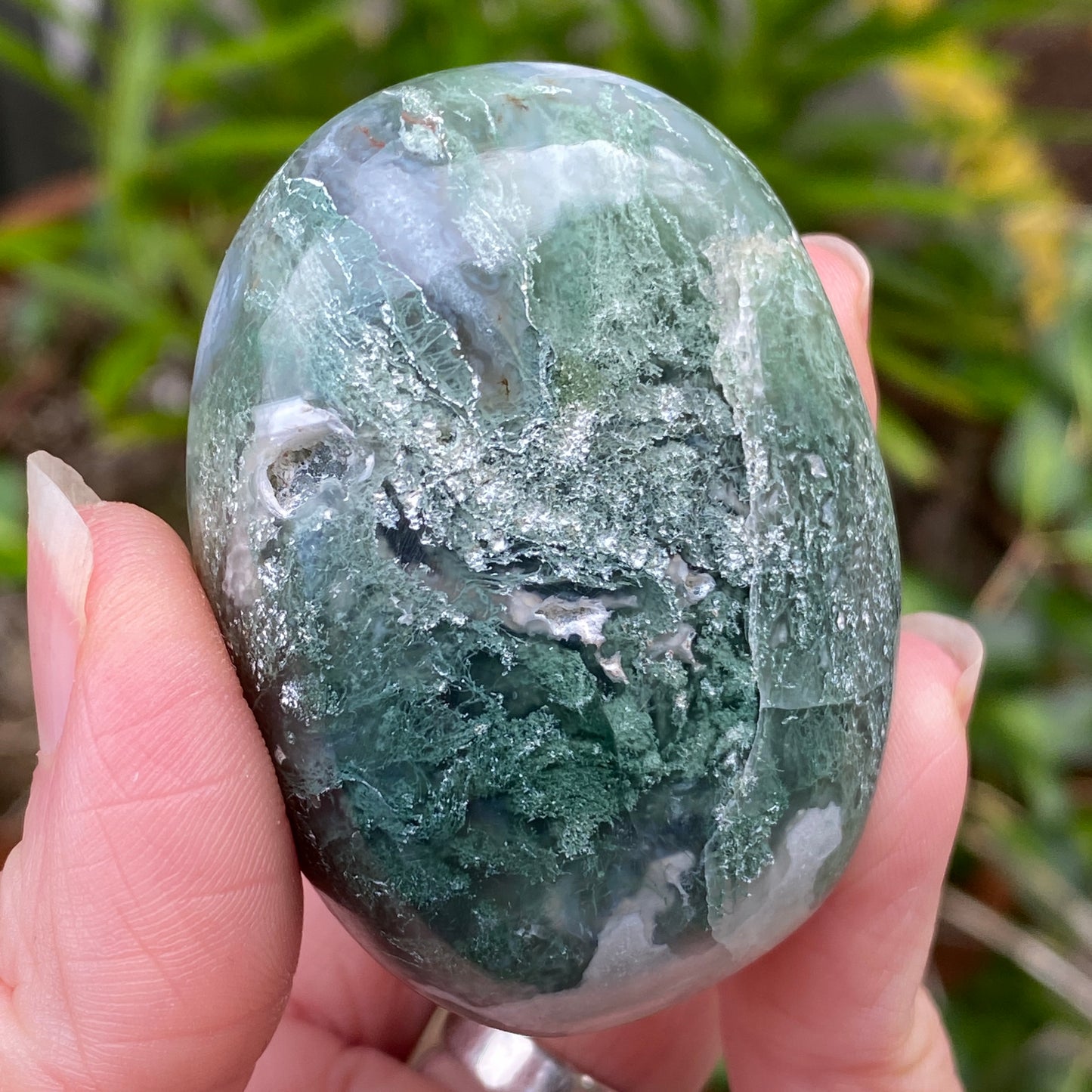 Moss Agate Palm Stone