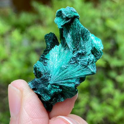 Malachite