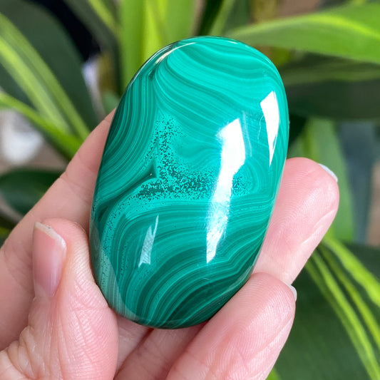 Malachite Palm Stone