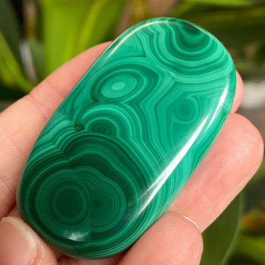 Malachite Palm Stone