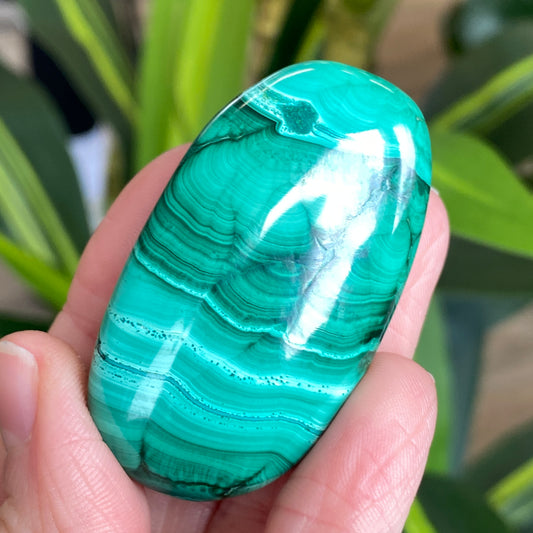 Malachite Palm Stone