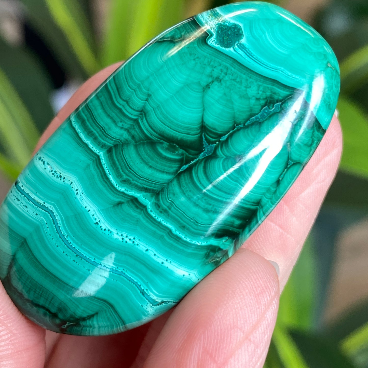 Malachite Palm Stone