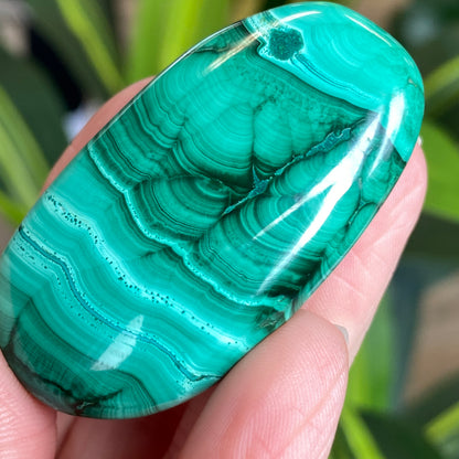 Malachite Palm Stone