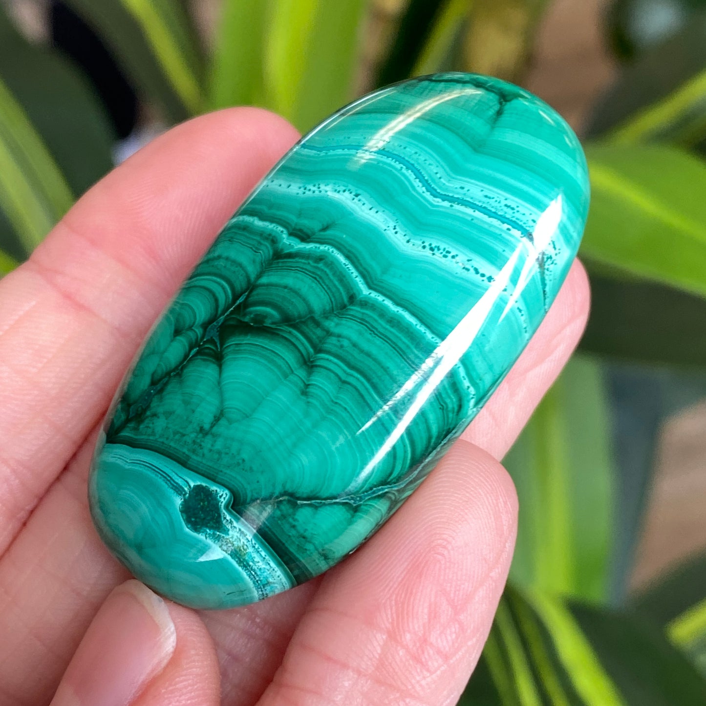 Malachite Palm Stone