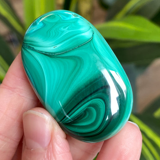 Malachite Palm Stone