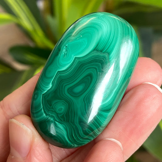 Malachite Palm Stone