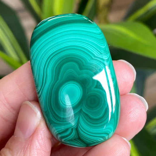 Malachite Palm Stone