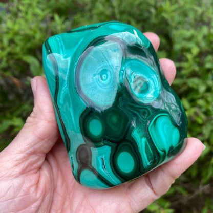 Large Malachite Freeform