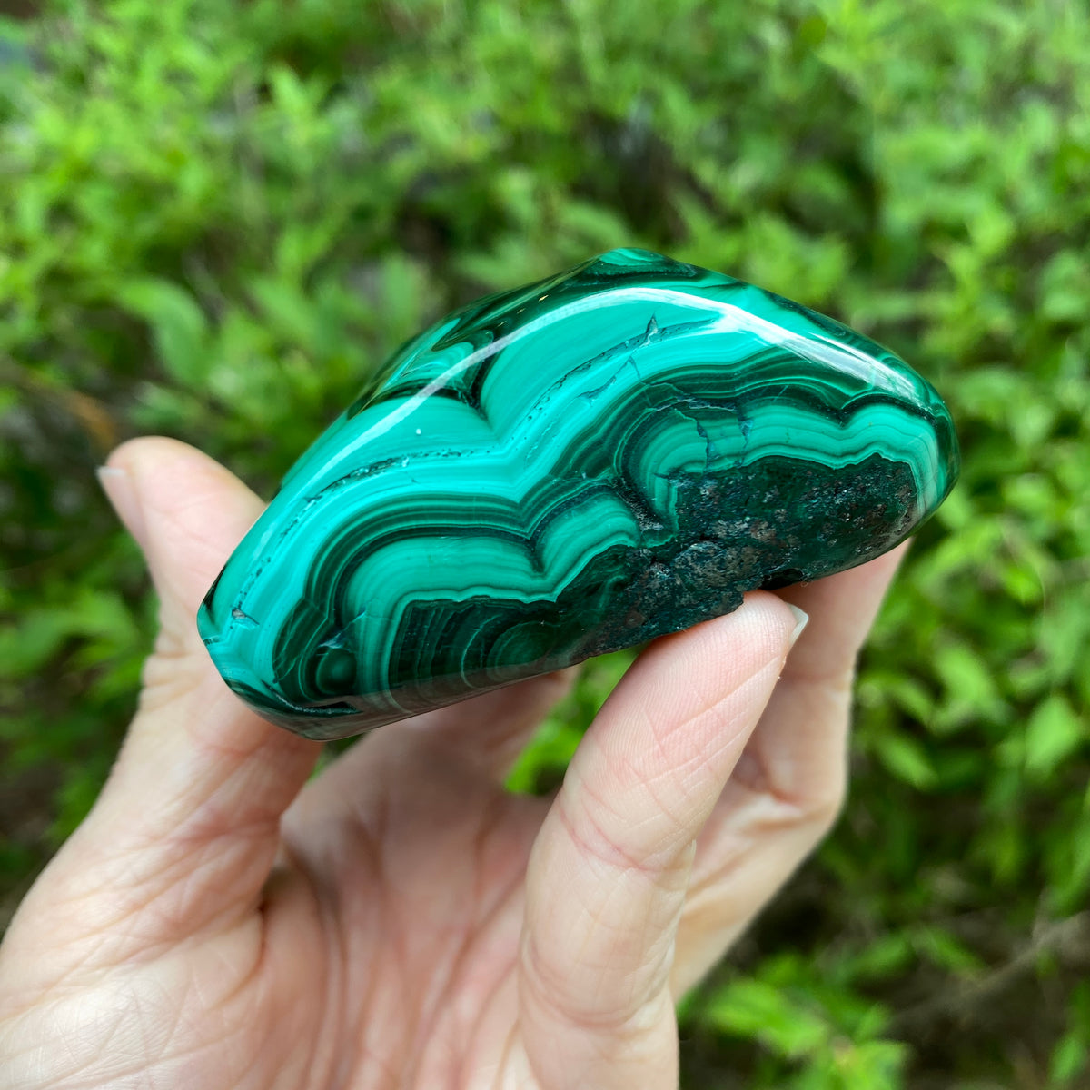 Large Malachite Freeform
