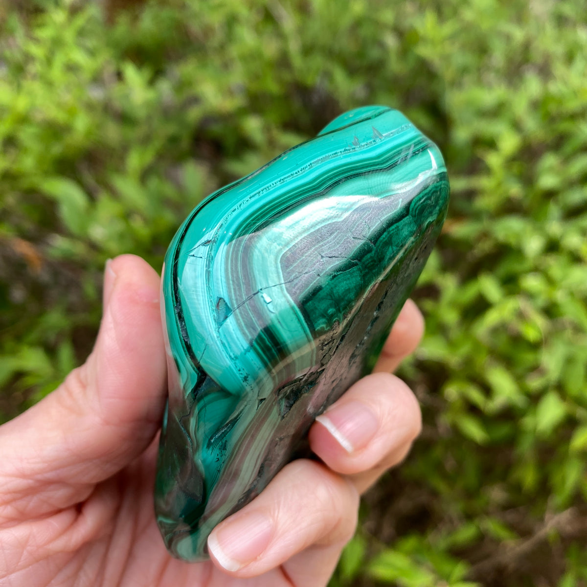 Large Malachite Freeform