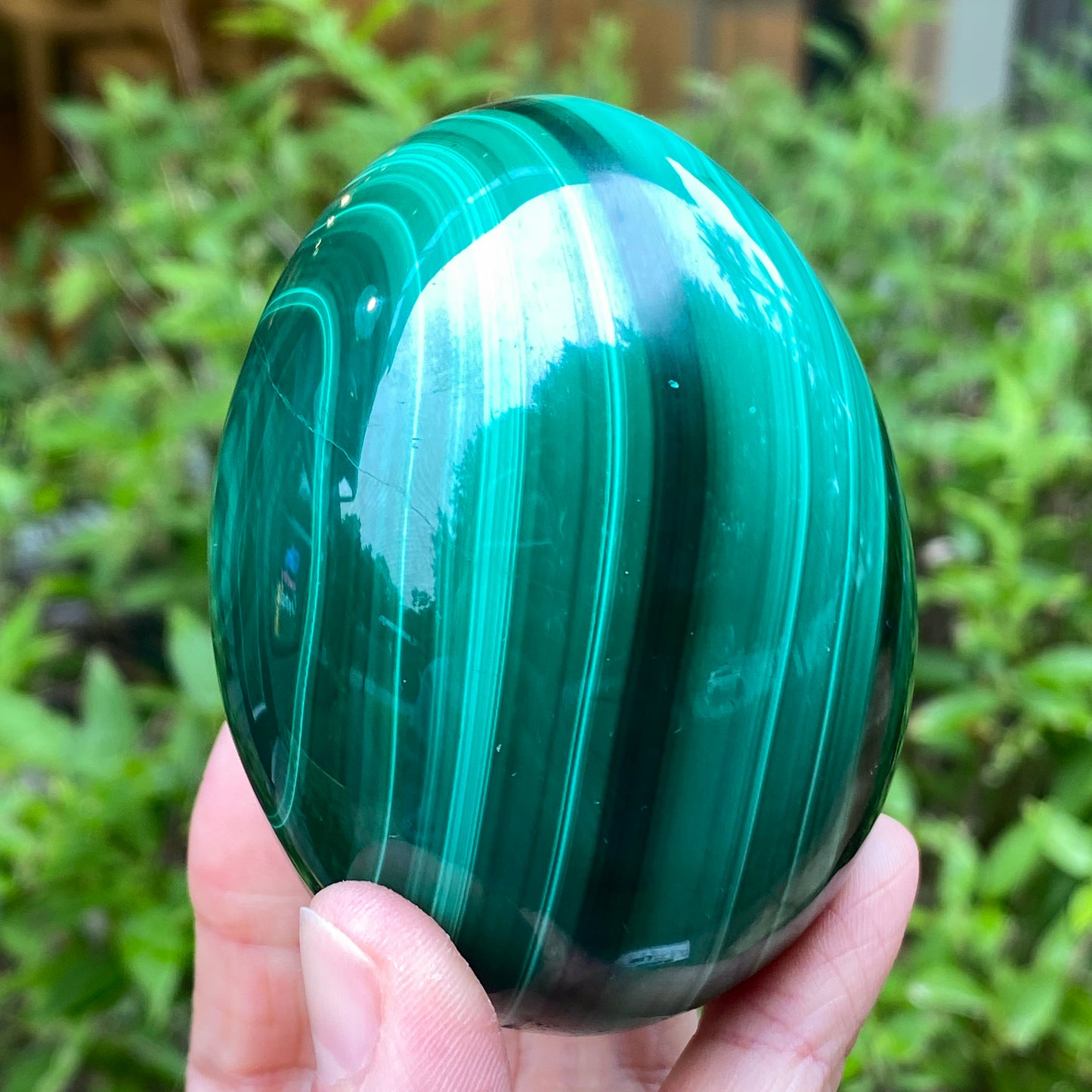 Malachite Egg, Chatoyant