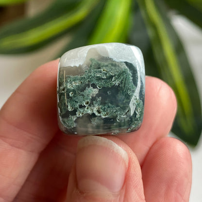Moss Agate Cube