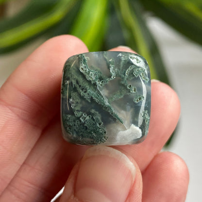 Moss Agate Cube