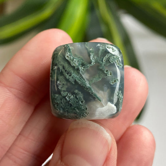 Moss Agate Cube