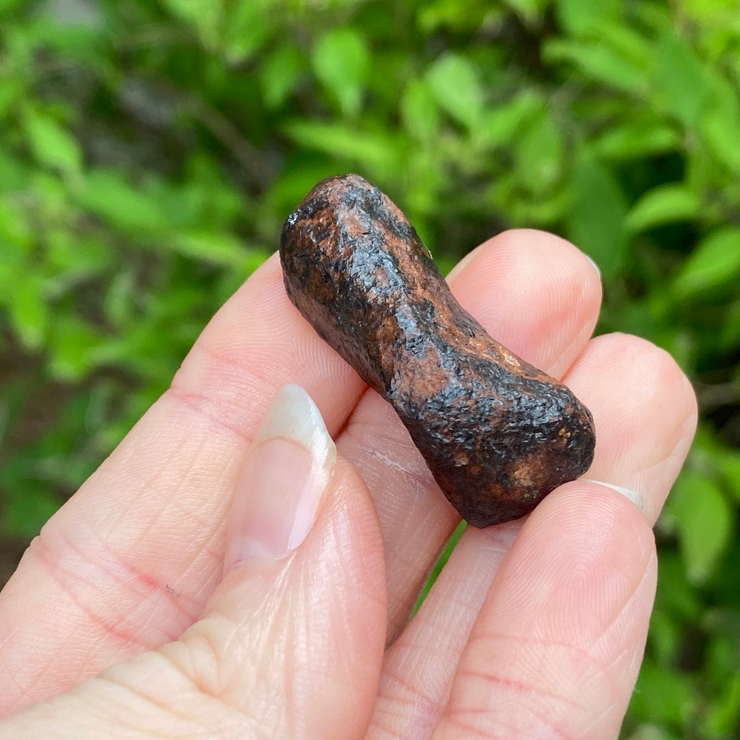 Mundrabilla Meteorite (split pair with METE-0004)