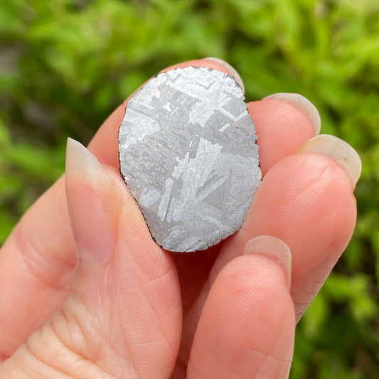 Mundrabilla Meteorite End Cut
