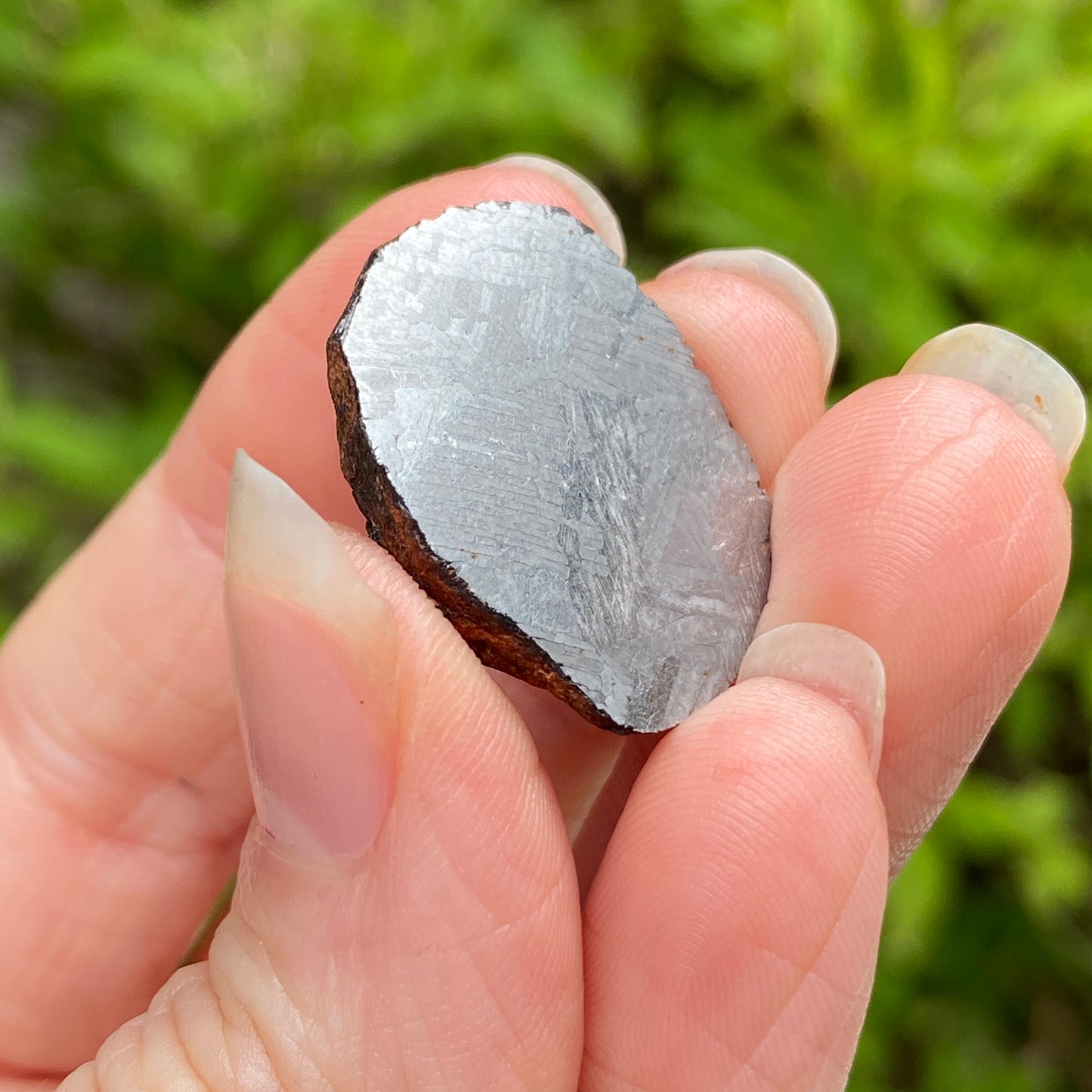 Mundrabilla Meteorite End Cut