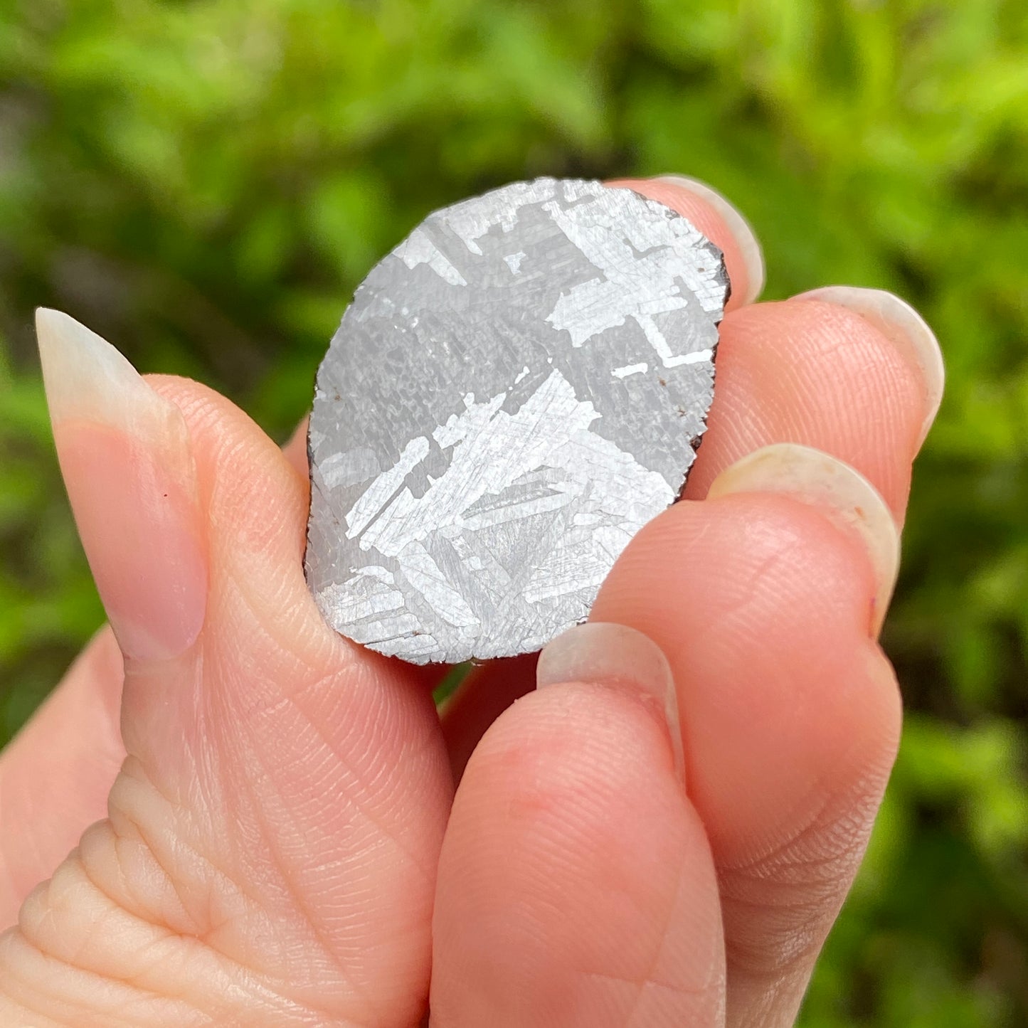 Mundrabilla Meteorite End Cut