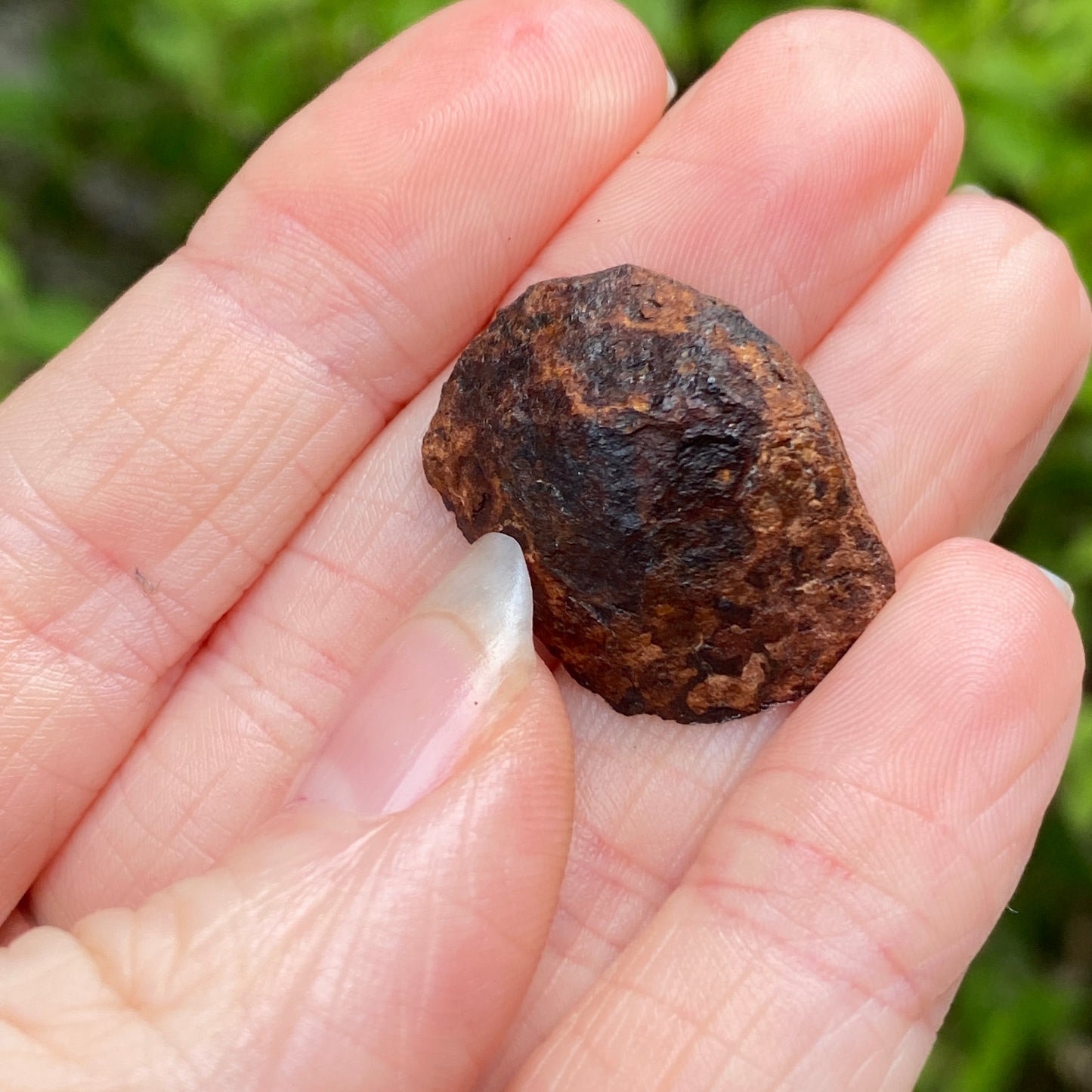 Mundrabilla Meteorite End Cut