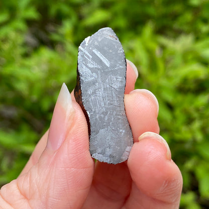 Mundrabilla Meteorite (split pair with METE-0005)