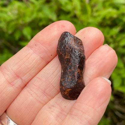 Mundrabilla Meteorite (split pair with METE-0005)