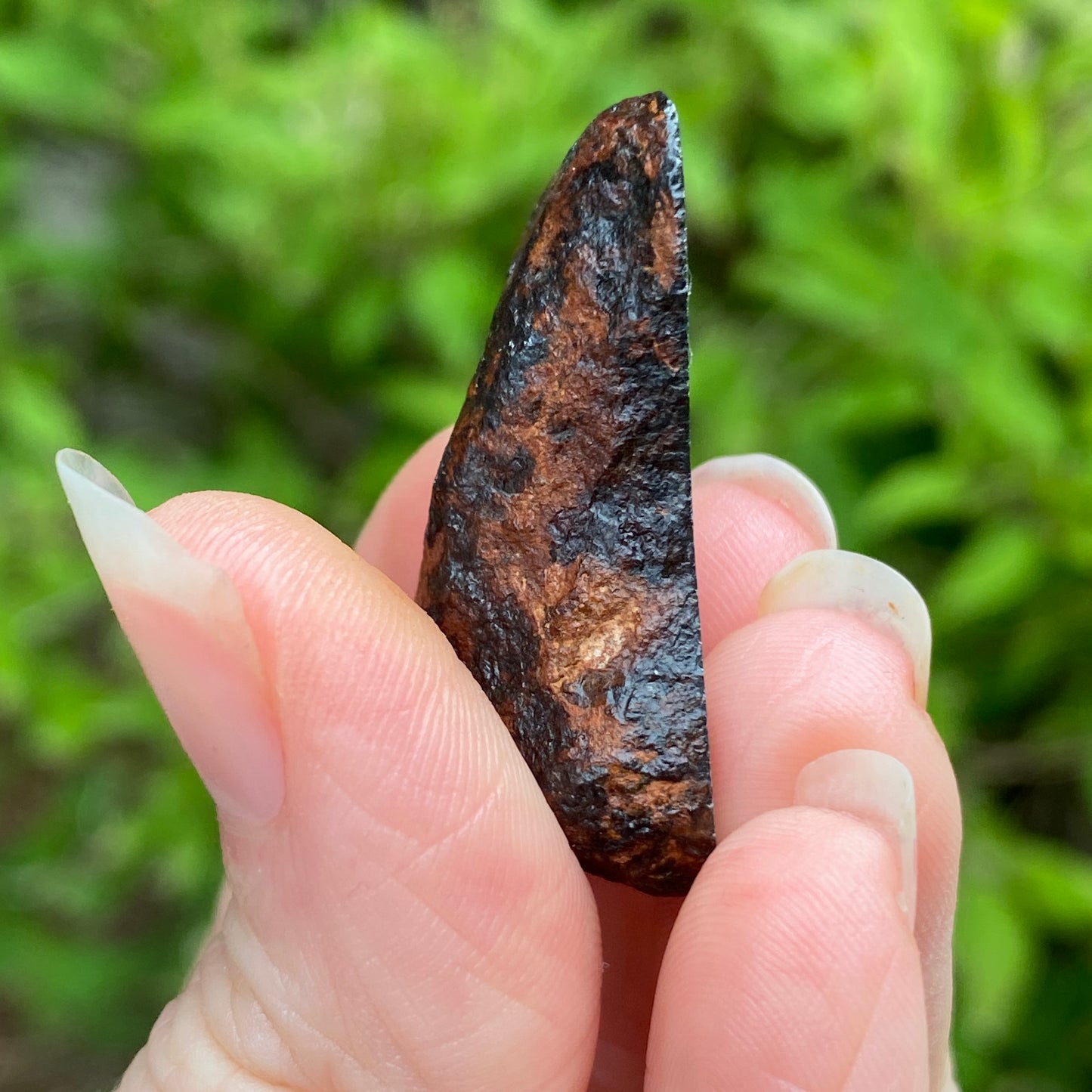 Mundrabilla Meteorite (split pair with METE-0004)