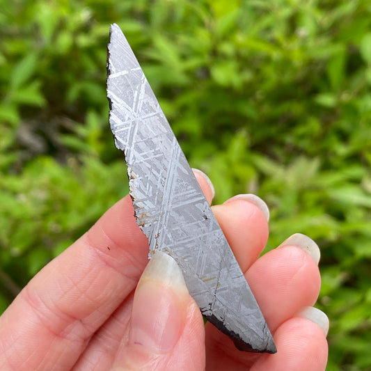 Muonionalusta Meteorite